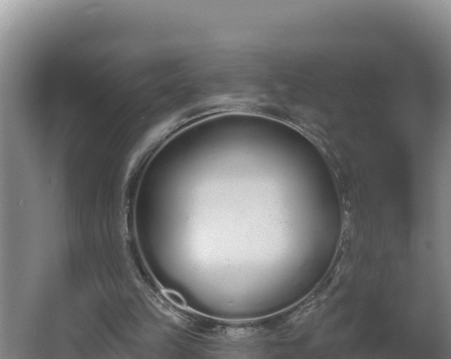 X0000064050149200602031632