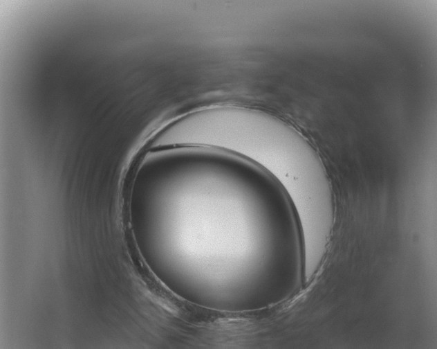 X0000064050150200602031632