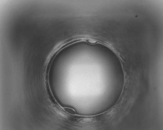 X0000064050151200602031632