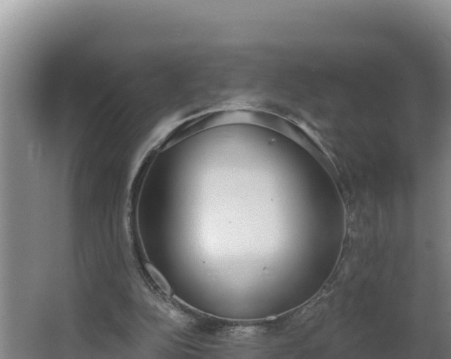 X0000064050152200602031632