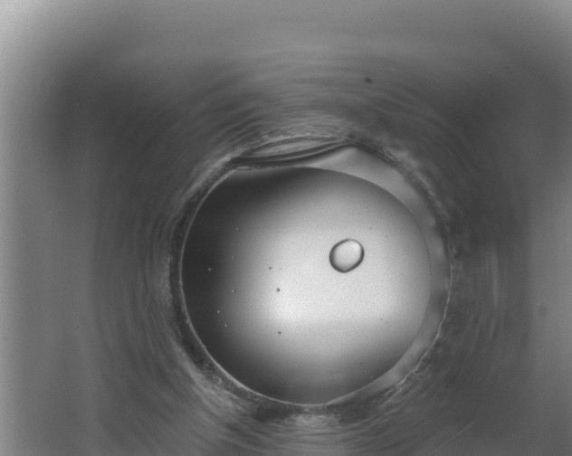 X0000064050154200602031632