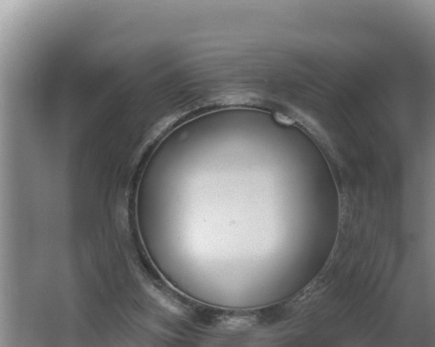 X0000064050155200602031632