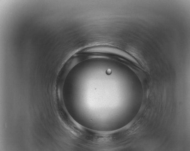 X0000064050156200602031632