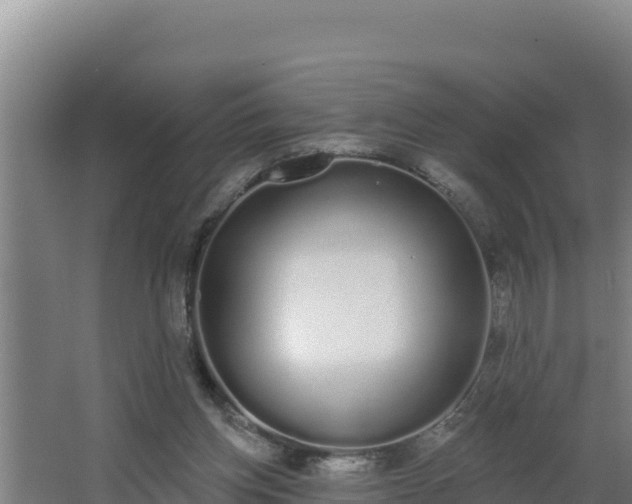 X0000064050158200602031632