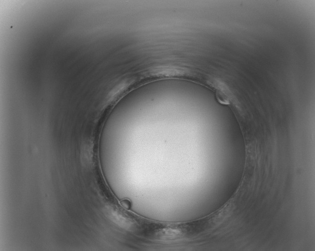 X0000064050159200602031632