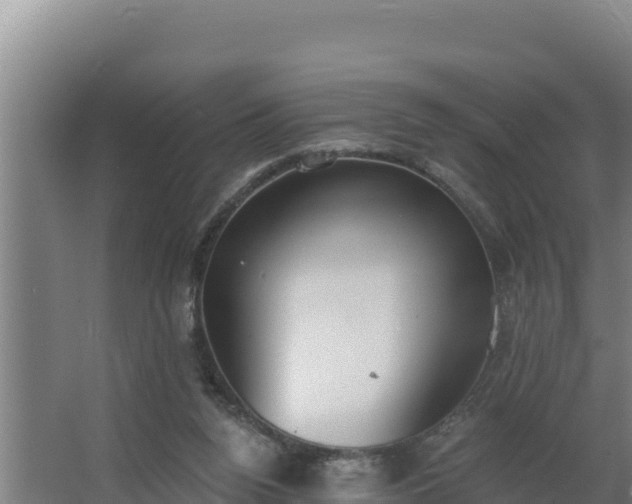 X0000064050160200602031632