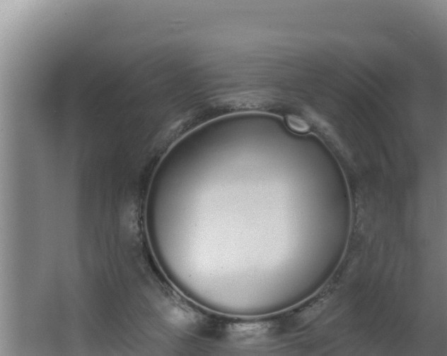 X0000064050161200602031632