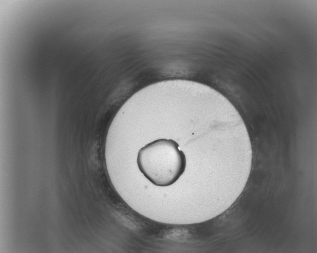 X0000064050162200602031632