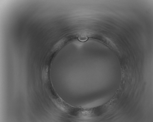 X0000064050163200602031632