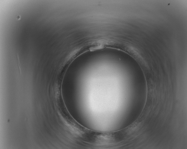 X0000064050164200602031632