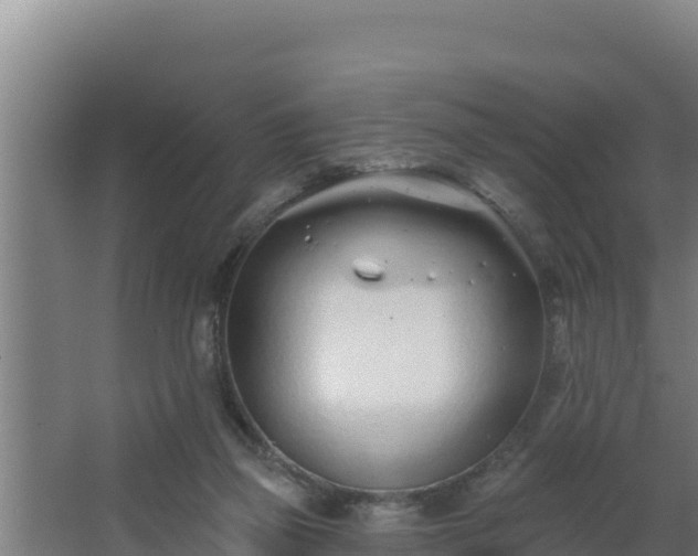 X0000064050165200602031632