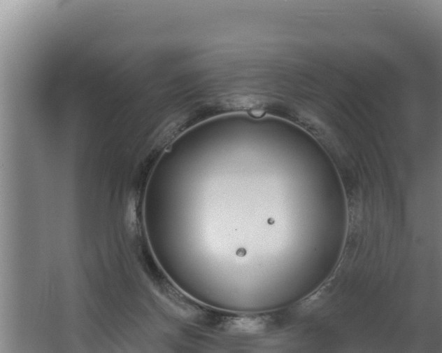 X0000064050166200602031632