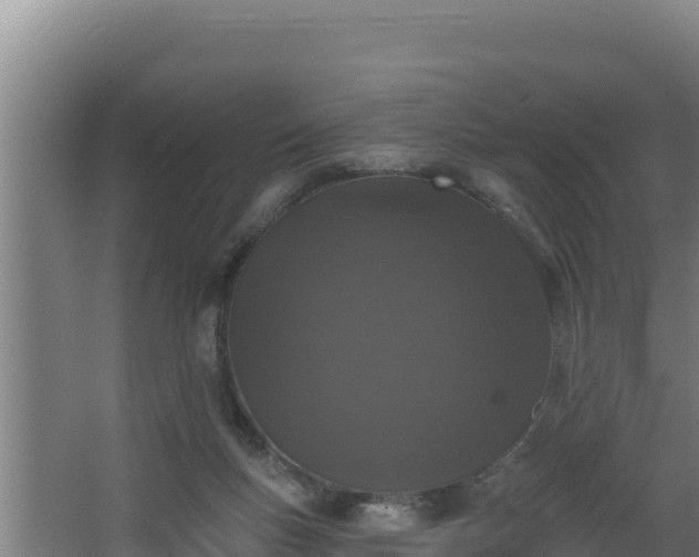 X0000064050167200602031632