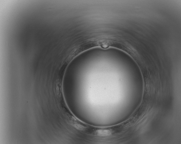 X0000064050169200602031633