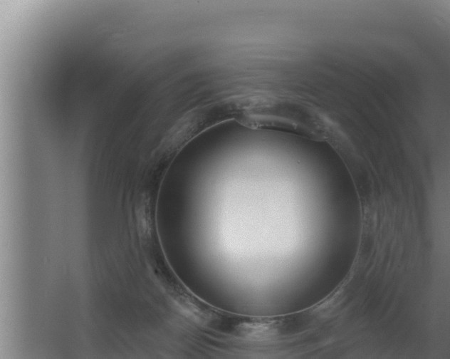 X0000064050170200602031633