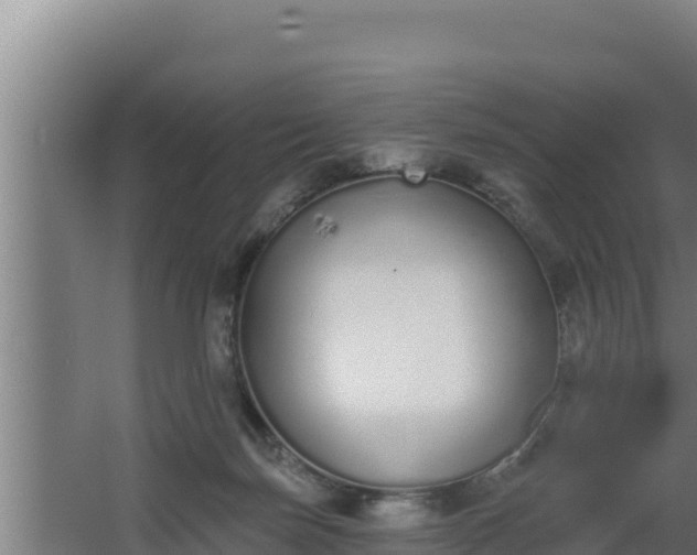 X0000064050171200602031633