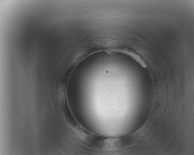 X0000064050172200602031633