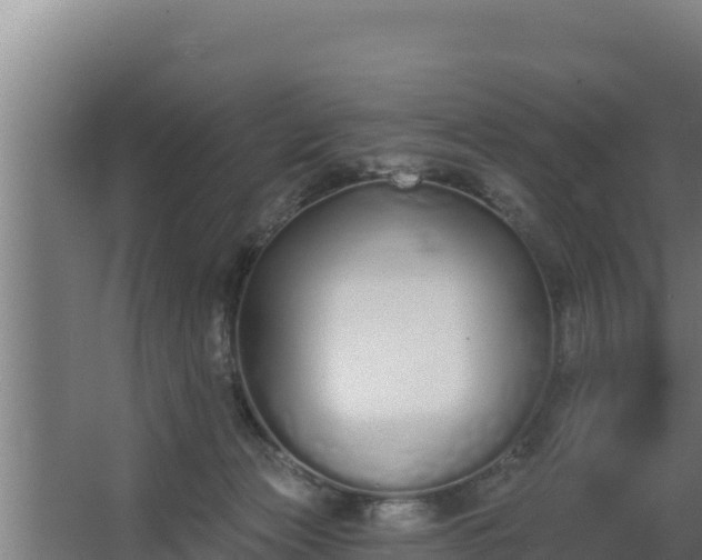 X0000064050173200602031633