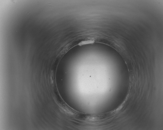 X0000064050174200602031633