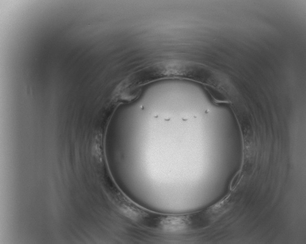 X0000064050175200602031633