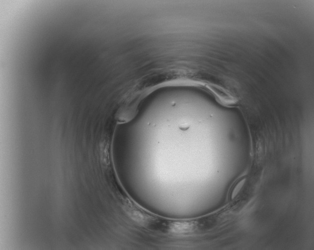 X0000064050177200602031633