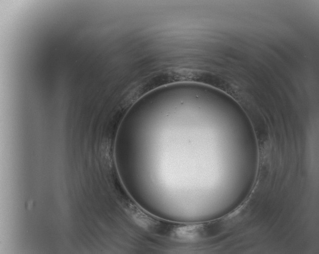 X0000064050178200602031633