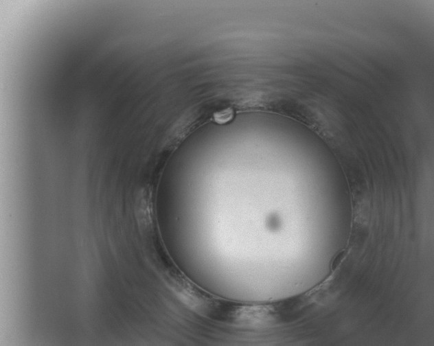 X0000064050179200602031633