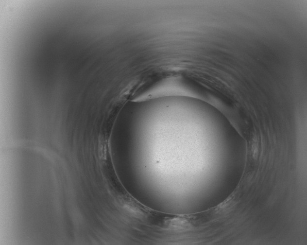 X0000064050180200602031633