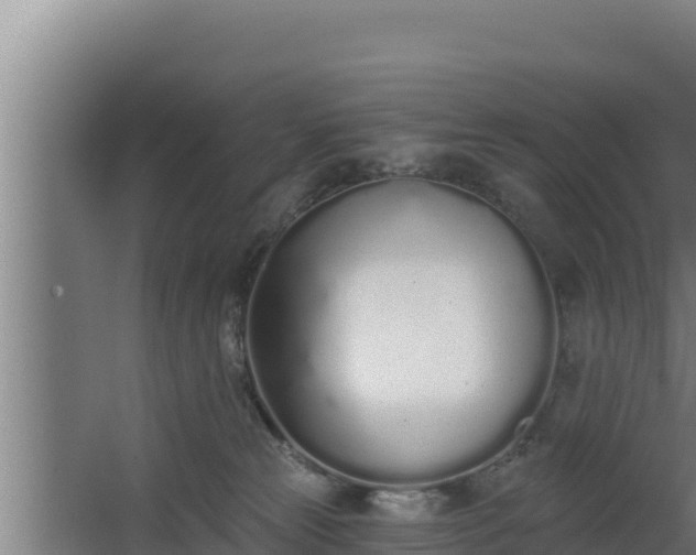 X0000064050181200602031633