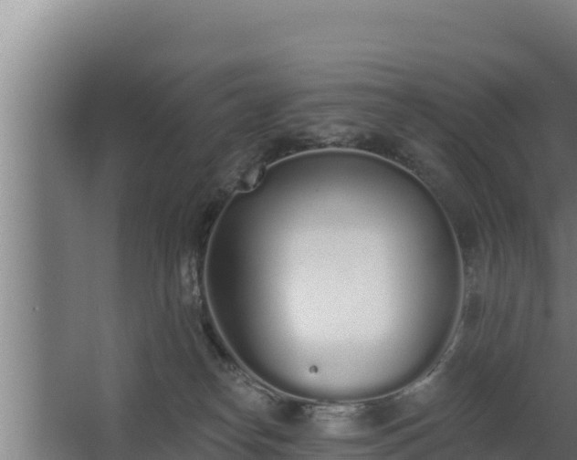 X0000064050182200602031633