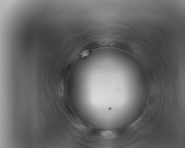 X0000064050183200602031633