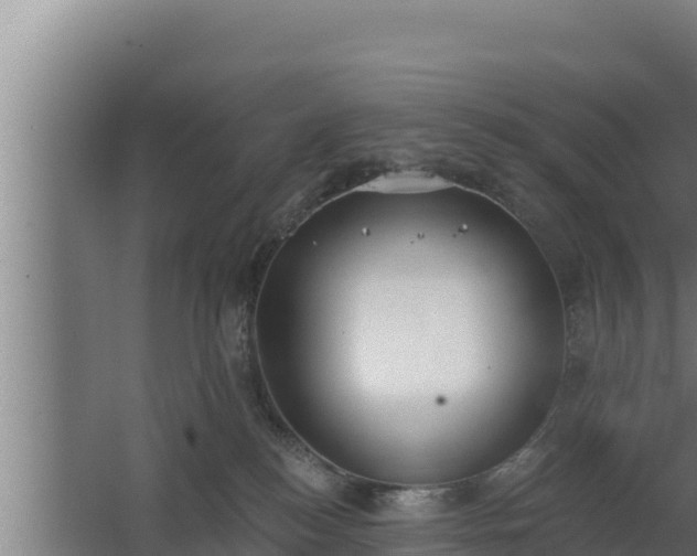 X0000064050184200602031633