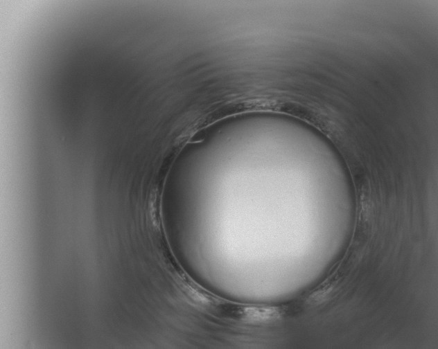 X0000064050185200602031633