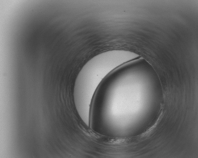 X0000064050186200602031633