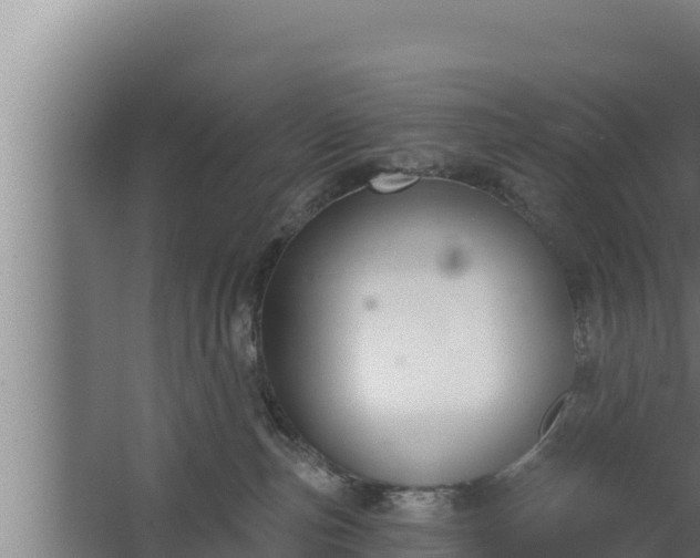 X0000064050187200602031633