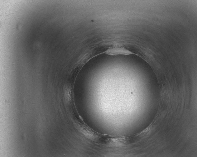 X0000064050188200602031633