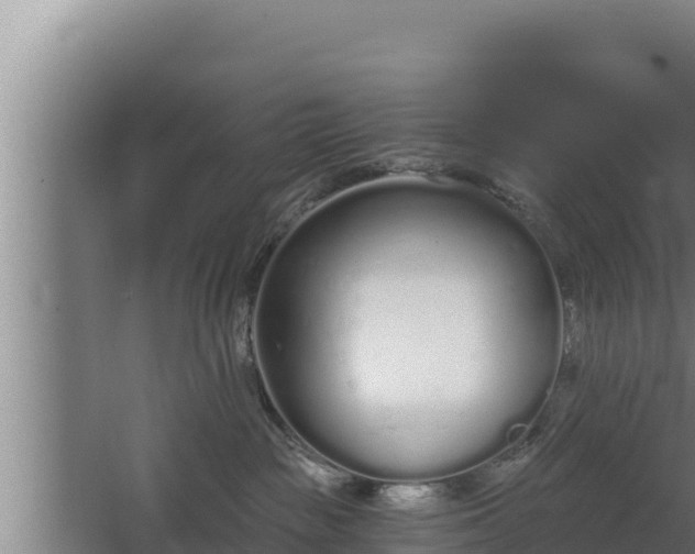 X0000064050189200602031633