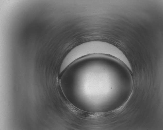 X0000064050190200602031633