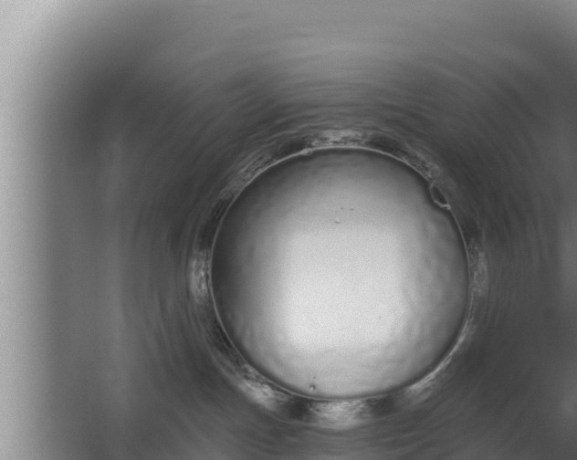 X0000064050191200602031633