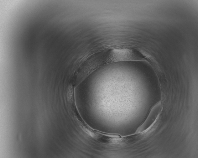 X0000064050192200602031633