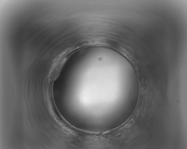 X0000064050193200602031632