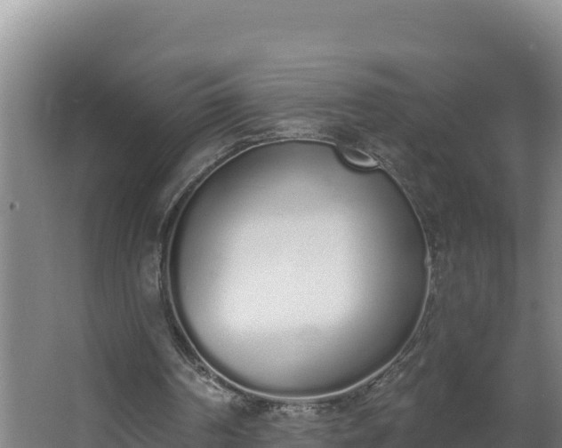 X0000064050194200602031632