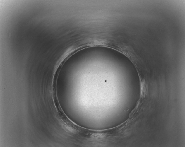 X0000064050195200602031632