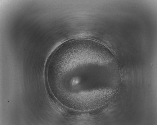 X0000064050196200602031632