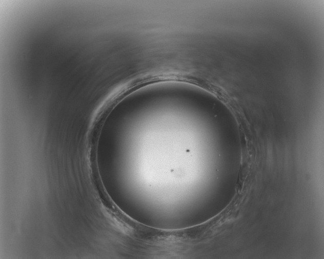 X0000064050197200602031632