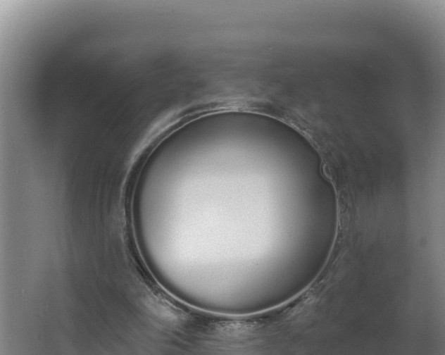 X0000064050198200602031632