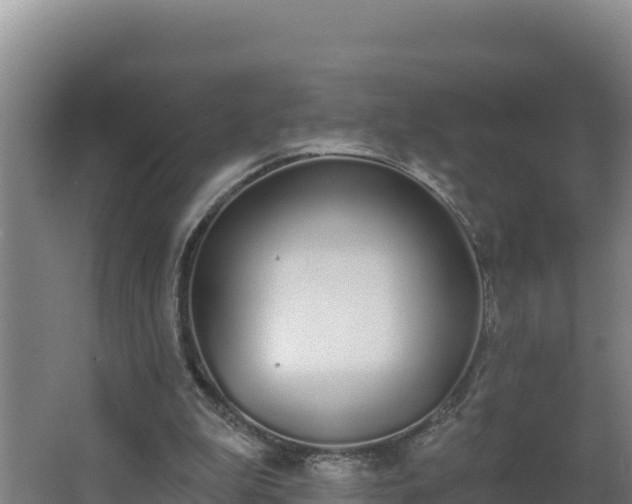 X0000064050199200602031632