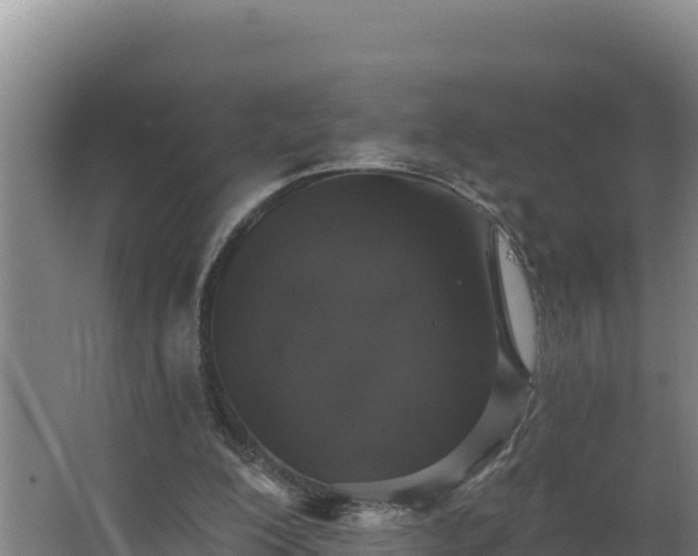 X0000064050200200602031632