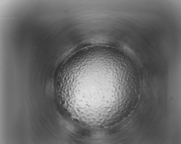 X0000064050202200602031632