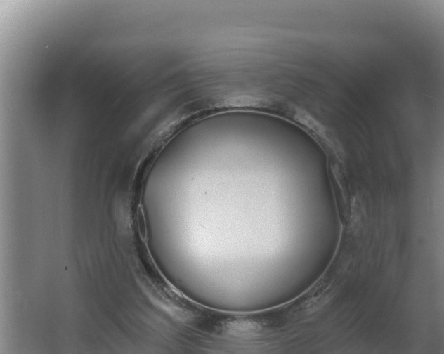 X0000064050203200602031632